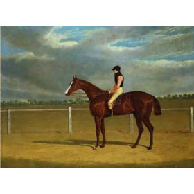 Federico Ballesio - The Racehorse The Colonel with William Scott Up