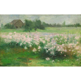 Field of Flowers