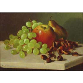 Fruit Still Life