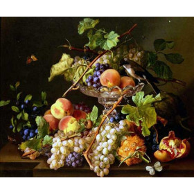 Fruit Still Life