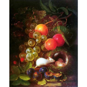 Fruit Still Life and a White Mouse