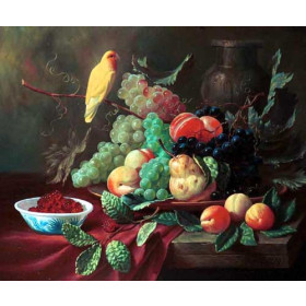 Fruits and Parrot