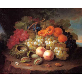 George Forster - Still Life with Fruit and Birds Nest