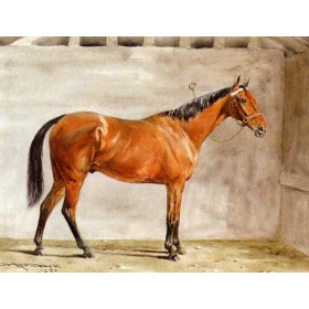 George Gill - After Thought a Light Bay Racehorse