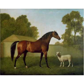 George Stubbs - Dungannon, the Property of Colonel OKelly