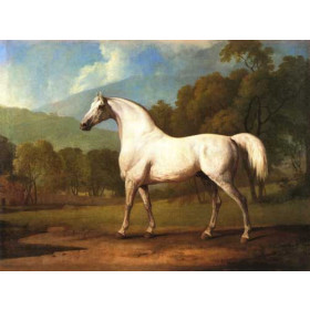 George Stubbs - Mambrino