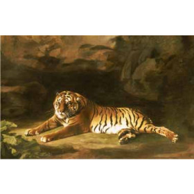 George Stubbs - Portrait of the Royal Tiger