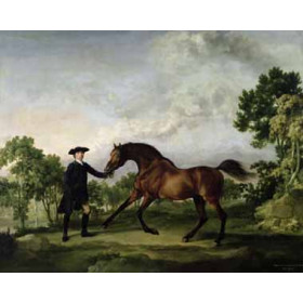 George Stubbs - The Duke of Ancasters Bay Stallion Blank, Held by a Groom