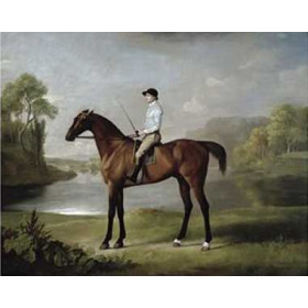 George Stubbs - The Marquess of Rockinghams Scrub, with John Singleton Up