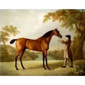 George Stubbs - Tristram Shandy, a Bay Racehorse Held by a Groom in an Extensive Landscape