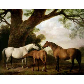 George Stubbs - Two Shafto Mares and a Foal