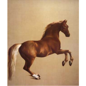 George Stubbs - Whistlejacket