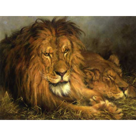 Geza Vastagh - A Lion and Lioness