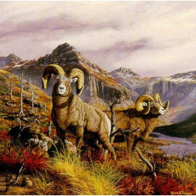 Goats on Landscape