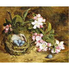 H. Grey - Apple Blossom and a Birds Nest