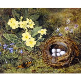 H. Grey - Primroses with a Birds Nest