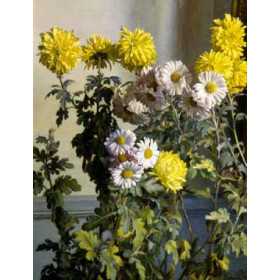 Harald Holm - Chrysanthemums