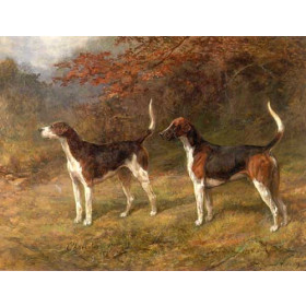 Hardy, Heywood - Chorister and Norman A Couple of Fox Hounds