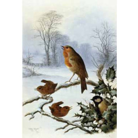 Harry Bright - Christmas Robin and Friends