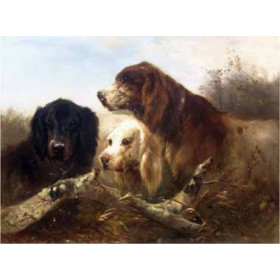 Henri Schouten - Good Friends