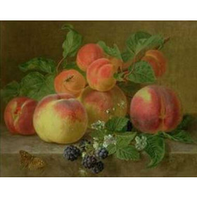 Henriette Ronner-Knip - Still Life of Peaches