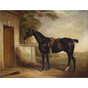 Henry Alken - Portrait of Buckle, First Lord Cheshams Hunter