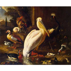 Hondecoeter, Melchior de(Holland) - Birds in a Park