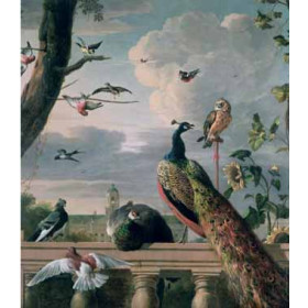 Hondecoeter, Melchior de(Holland) - Palace of Amsterdam with Exotic Birds