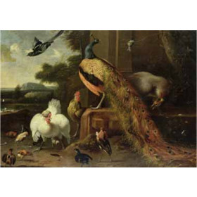 Hondecoeter, Melchior de(Holland) - Revolt in the Poultry Coup