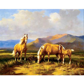 Horse Family in Landscape