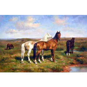 Horses in Landscape