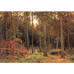 Ivan Ivanovich Shishkin - Piny wood