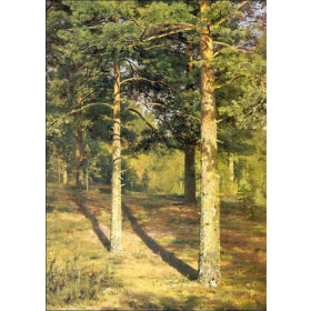 Ivan Ivanovich Shishkin - Sunny pine-tree