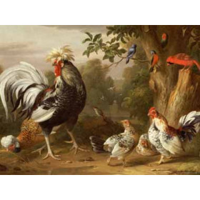 Jacob Bogdany - Poultry and Other Birds in the Garden of a Mansion