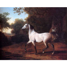 Jacques-Laurent Agasse - A Grey Arab Stallion In A Wooded Landscape