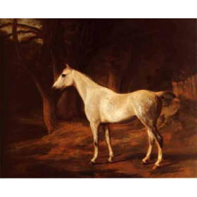 Jacques-Laurent Agasse - Forest Dapple