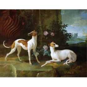 Jean-Baptiste Oudry - Misse and Turlu, Two Greyhounds of Louis XV