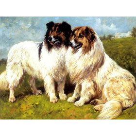 John Emms - Two Collies