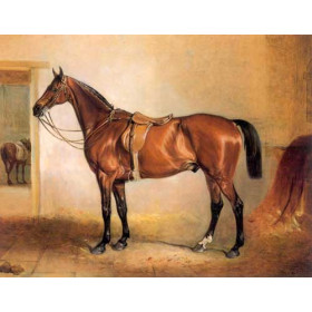 John Ferneley - Melton Mowbray in a Stable