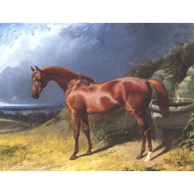 John Frederick Herring Sr. - Chestnut A Racehorse