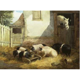 John Herring - Family of Pigs