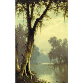 Joseph R Meeker - A Louisiana Bayou