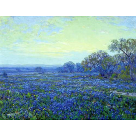 Julian Onderdonk - Field of Bluebonnets under Cloudy Sky