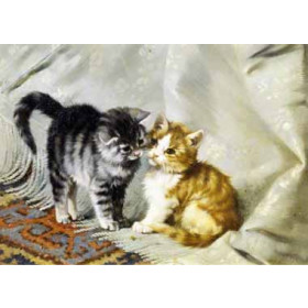 Julius Adams - The Introduction, Silver and Ginger Kittens