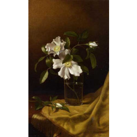 Martin Johnson Heade - Cherokee Roses in a Glass on Gold Velvet Plush