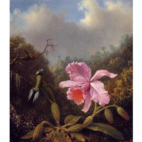 Martin Johnson Heade - Fighting Hummingbirds with Pink Orchid