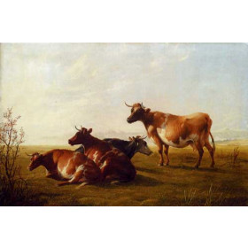 Cows In A Meadow