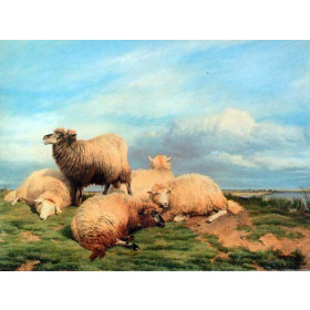 Landscape with Sheep