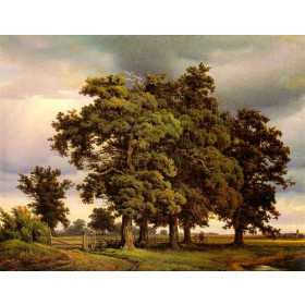 Oak Trees