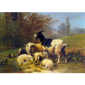 Sheep and Goats Resting on a Riverbank